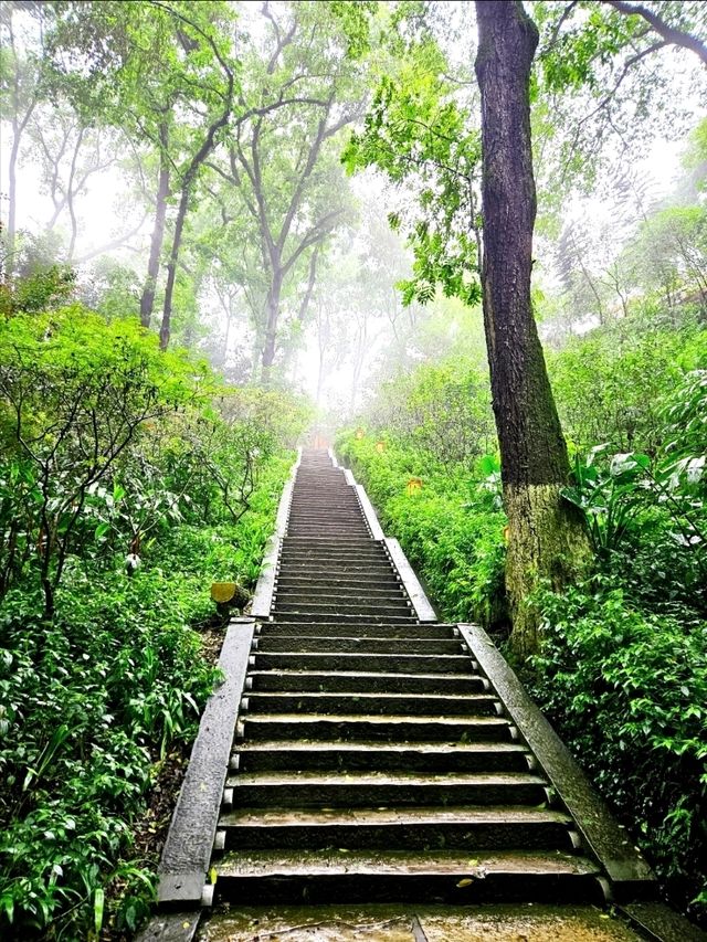 Discovered the Stairways to Heaven
