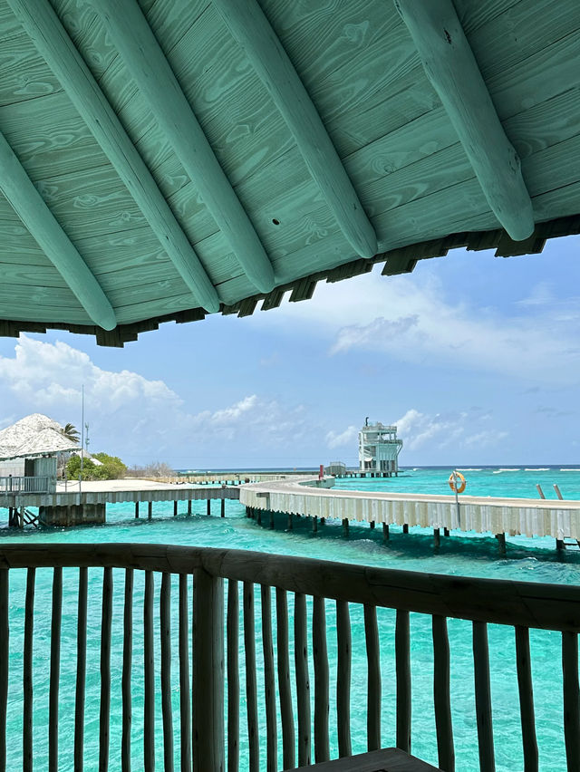 🌴 Maldives Holiday Guide 🏝️✨