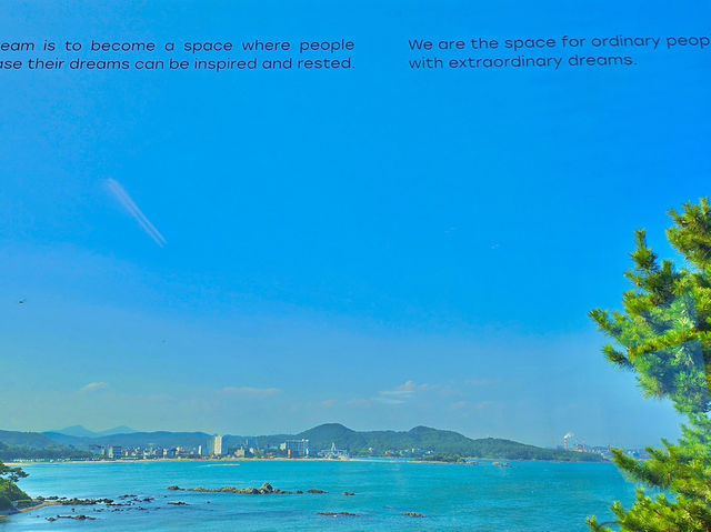 ❗️울산 바다와 함께 즐기는 오션뷰 카페 투어🌊☕️