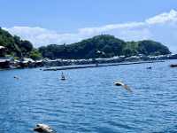 Ine Bay Kyoto 🇯🇵 สวยย So จึ้งใจมากกก 🩵
