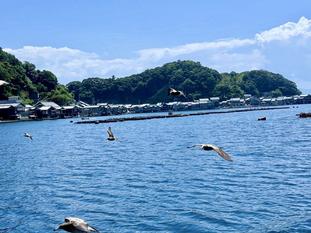 Ine Bay Kyoto 🇯🇵 สวยย So จึ้งใจมากกก 🩵