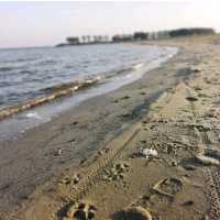 IJsselmeer