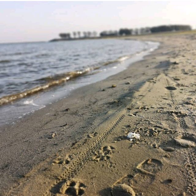 IJsselmeer