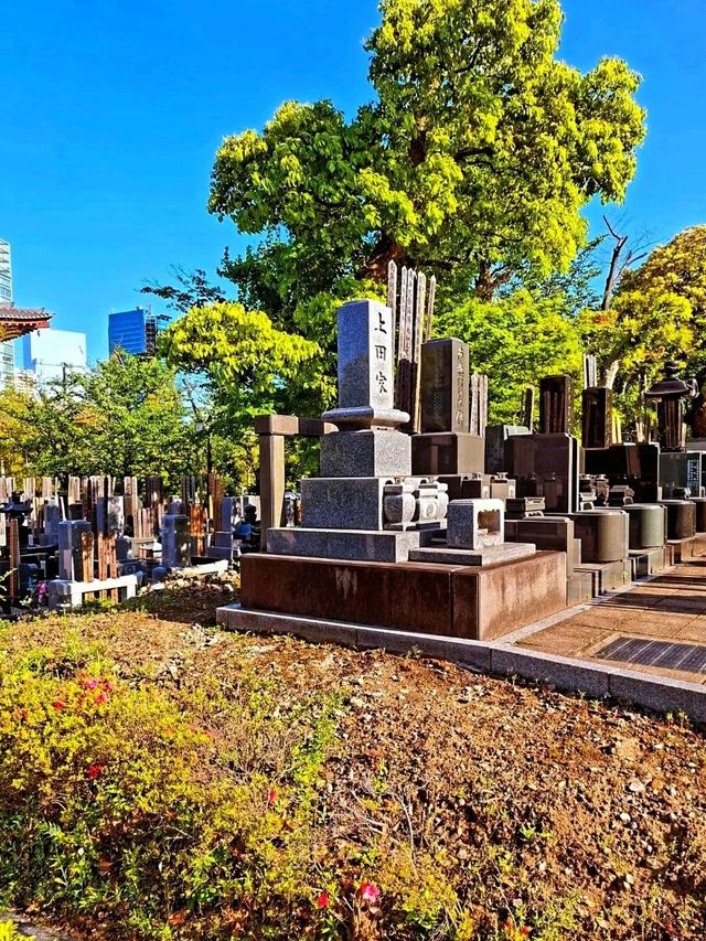 Zojo-ji Temple – Tradition Beneath Tokyo Tower 🛕