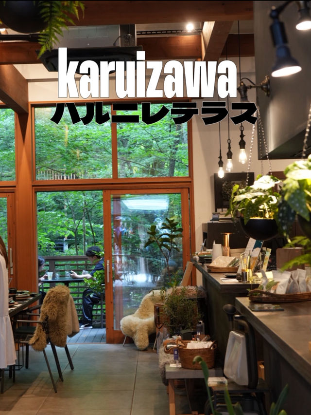 【軽井沢】  風を感じ、川のせせらぎを聞きながらゆったりと過ごせるハルニレテラス 【軽井沢】  風を感じ、川のせせらぎを聞きながらゆったりと過ごせるハルニレテラス