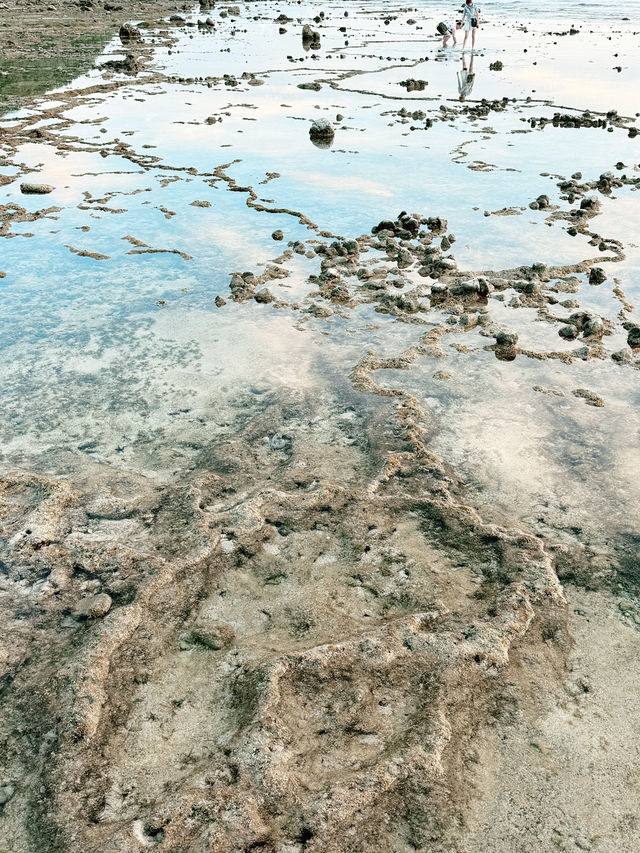 綠島石朗潛水區｜在藍色深海裡遇見自己，海龜與浪的永恆低語