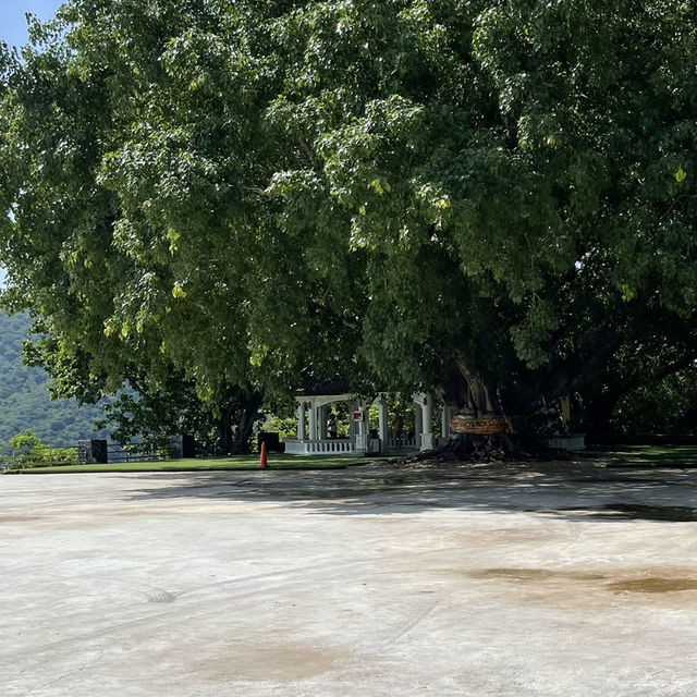 พาชมบรรยากาศ Promthep Cape 🏝️ พาชมบรรยากาศ Promthep Cape 🏝️