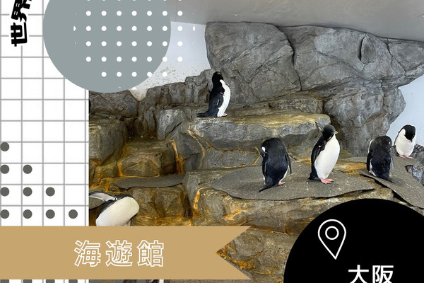 大阪🇯🇵】世界に誇る水族館🐟海遊館 | Trip.com 大阪