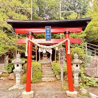 🏔「鳥居、五重塔與富士山同框，這就是日本最經典的風景。」