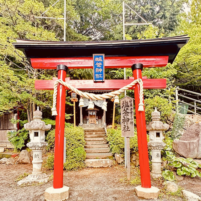 🏔「鳥居、五重塔與富士山同框，這就是日本最經典的風景。」