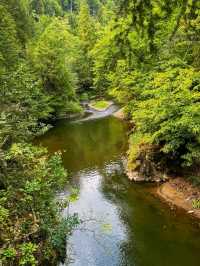 🌲 Slovak Paradise National Park – Adventure in Nature’s Playground 🌲
