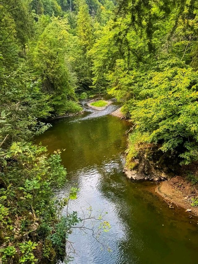 🌲 Slovak Paradise National Park – Adventure in Nature’s Playground 🌲
