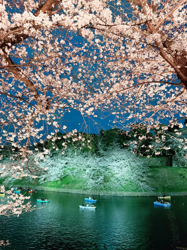 2025.03東京櫻花季行前花費 2025.03東京櫻花季行前花費