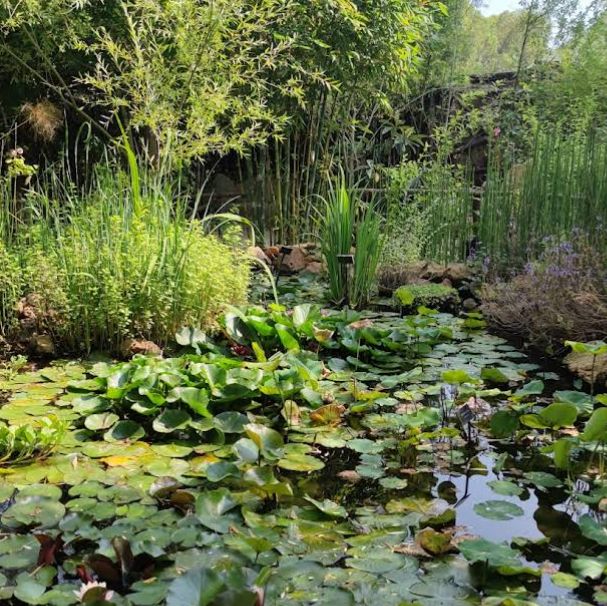 Donabo Gardens – Tangier’s Serene Botanical Refuge Overlooking the Sea