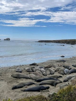加州大蘇爾的野性與寧靜面貌