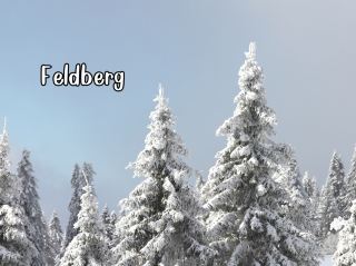 費爾德山，黑森林的最高點