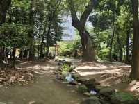 神戶生田神社晴天漫步