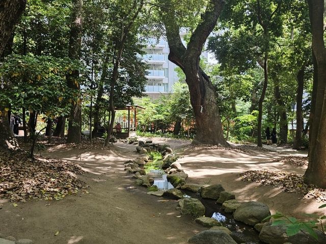 神戶生田神社晴天漫步 神戶生田神社晴天漫步