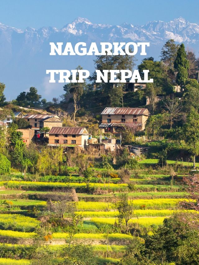 NAGARKOT TRIP