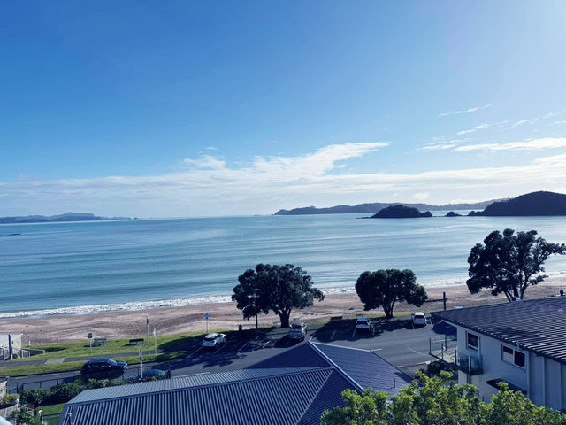 New Zealand Adventures : From Islands to Iconic Shores