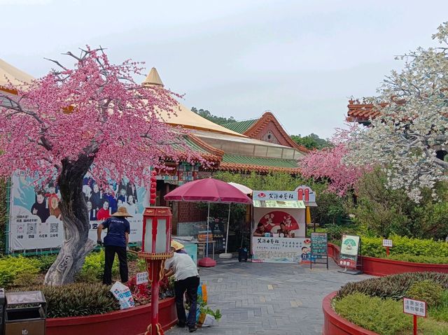 珠海圓明新園親子打卡必去地