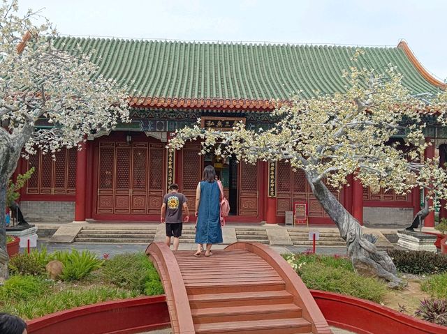 珠海圓明新園親子打卡必去地