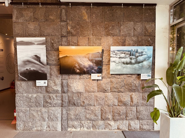 An Engaging Look at Island Life An Engaging Look at Island Life