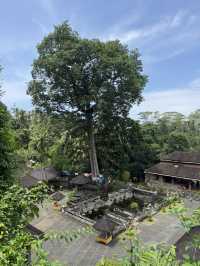 【インドネシア・バリ島/ウブド近郊】神秘と静寂の「Goa Gajah」🕯️🐘