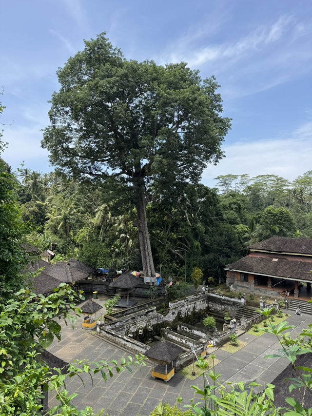 【インドネシア・バリ島/ウブド近郊】神秘と静寂の「Goa Gajah」🕯️🐘 【インドネシア・バリ島/ウブド近郊】神秘と静寂の「Goa Gajah」🕯️🐘