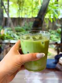 มัทฉะเลิฟเว่อร์ 🍵 #เชียงใหม่เจ้า