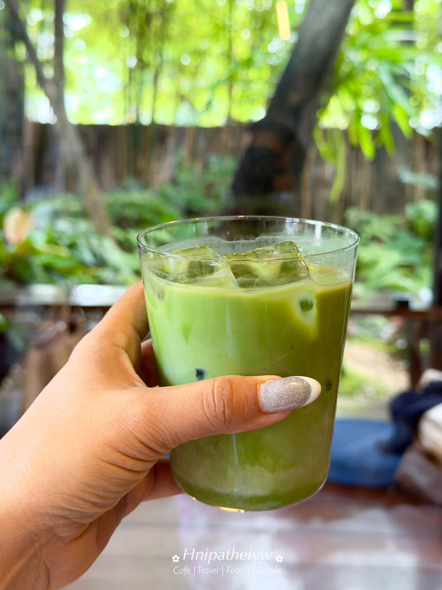มัทฉะเลิฟเว่อร์ 🍵 #เชียงใหม่เจ้า