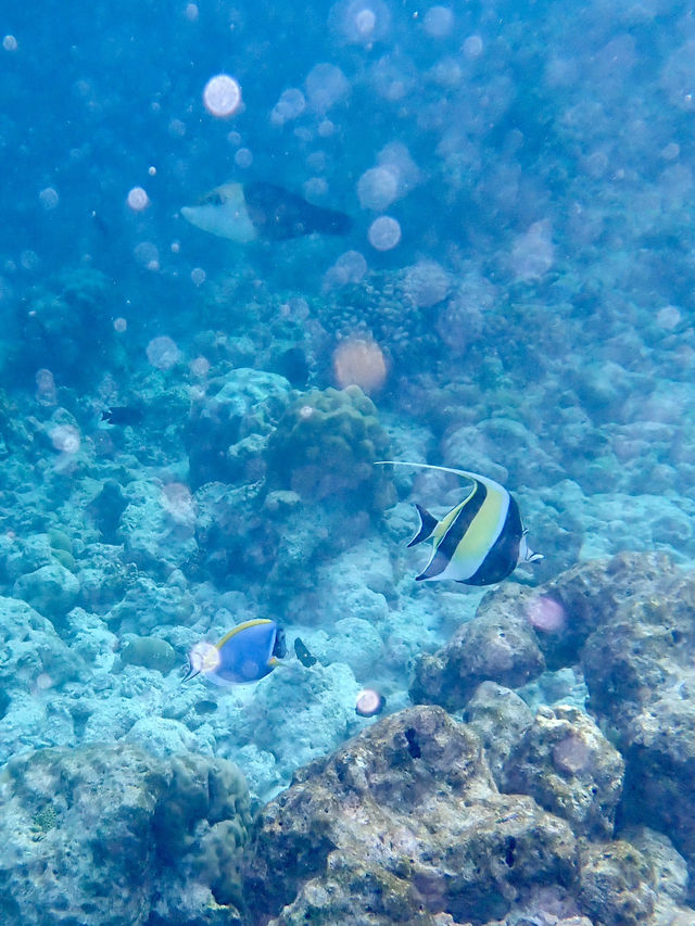 🏝️ Stress-Free Weekend in the Maldives