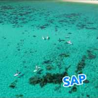 座間味島で海遊び＆自然を満喫❣️