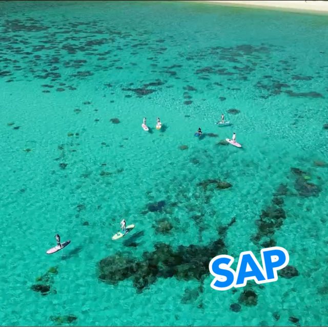 座間味島で海遊び＆自然を満喫❣️