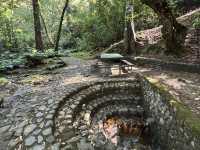 Batumi Botanical Garden