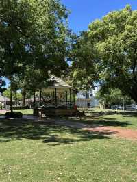 鳥聲中喝早茶：Campsie RSL 的 Sun Ho 飲茶探訪