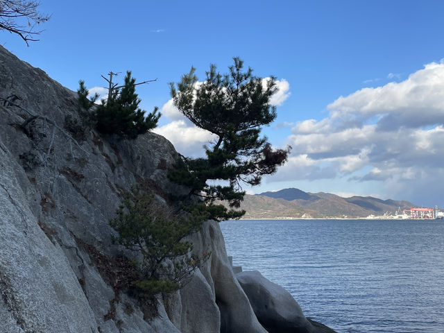 廣島｜到太久野島輕旅行 與可愛兔子近距離接觸