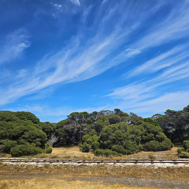 Rottnest Island Bliss