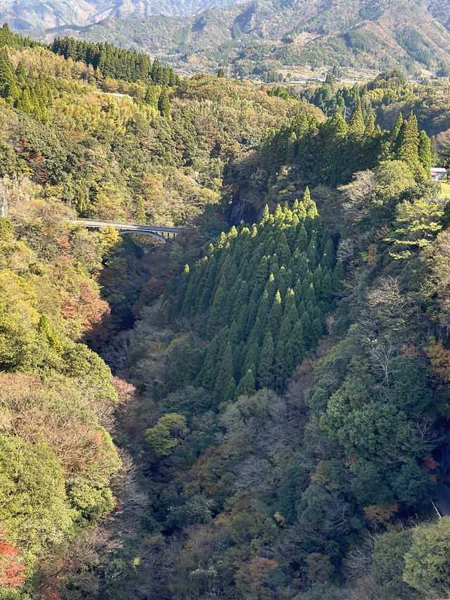 105mの鉄橋から見える壮大な景色 廃線を利用したトロッコ列車