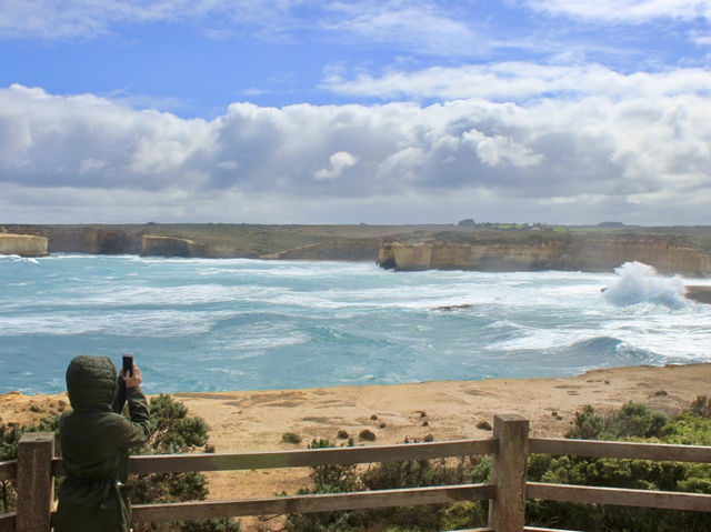 Ocean Bliss✨ Great Ocean Road — Australia’s Coastal Masterpiece & a Glimpse of Wild Koalas