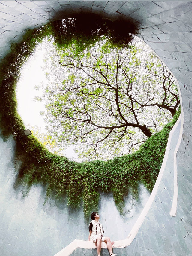 🌳 Tips | Fort Canning Tree Tunnel: Singapore's Magical Photographic Portal! 📸