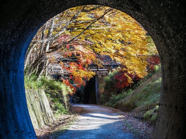 紅葉穴場スポット😶‍🌫️群馬のめがね橋🍁