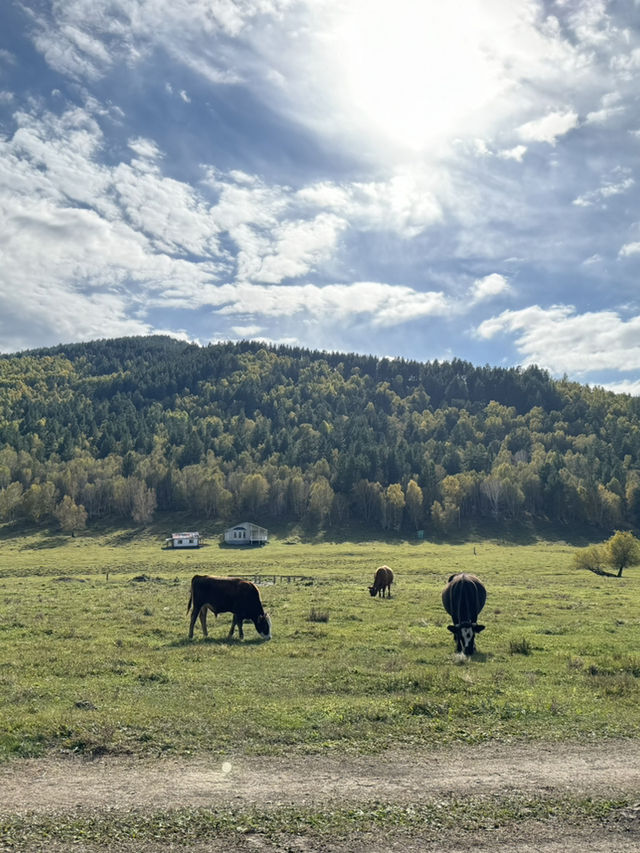 Dugan khad, Tuw aimag, Mongolia Dugan khad, Tuw aimag, Mongolia