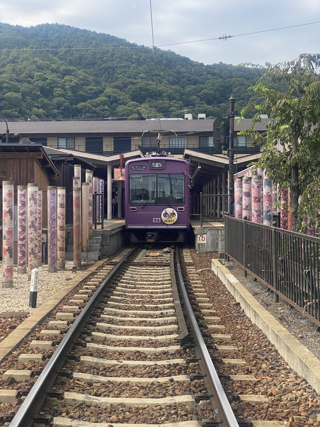 Kyoto Nature Escape🌳  