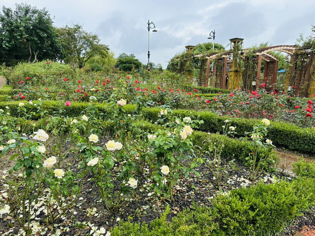Daejeon Hanbat Arboretum