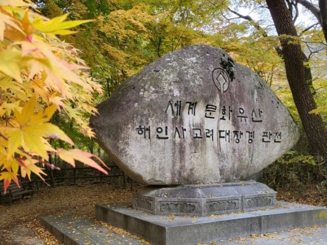 고즈넉한 사찰에서 단풍도 보고 국보도 보는 가을 여행 🧡