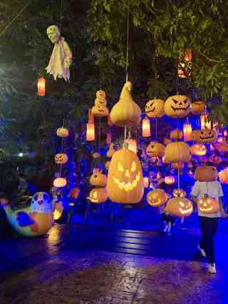 2026年 タイハロウィーンガイドおすすめ| Trip Moments
