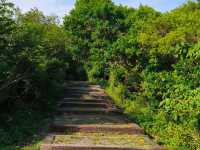 🌾 2025漫遊縱谷 愛在花東・台東篇 🌾