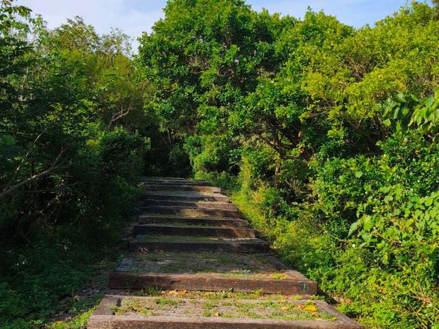 🌾 2025漫遊縱谷 愛在花東・台東篇 🌾