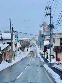 โ๏ธ๐๏ธ ์คํ๋ฃจ ๊ฒจ์ธ์ฌํ ๊ฐ์ด๋ (Otaru Winter Trip)